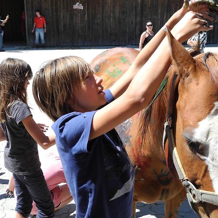 Espi-Stables Ferienhof Esterhammer Liebenau  ภายนอก รูปภาพ