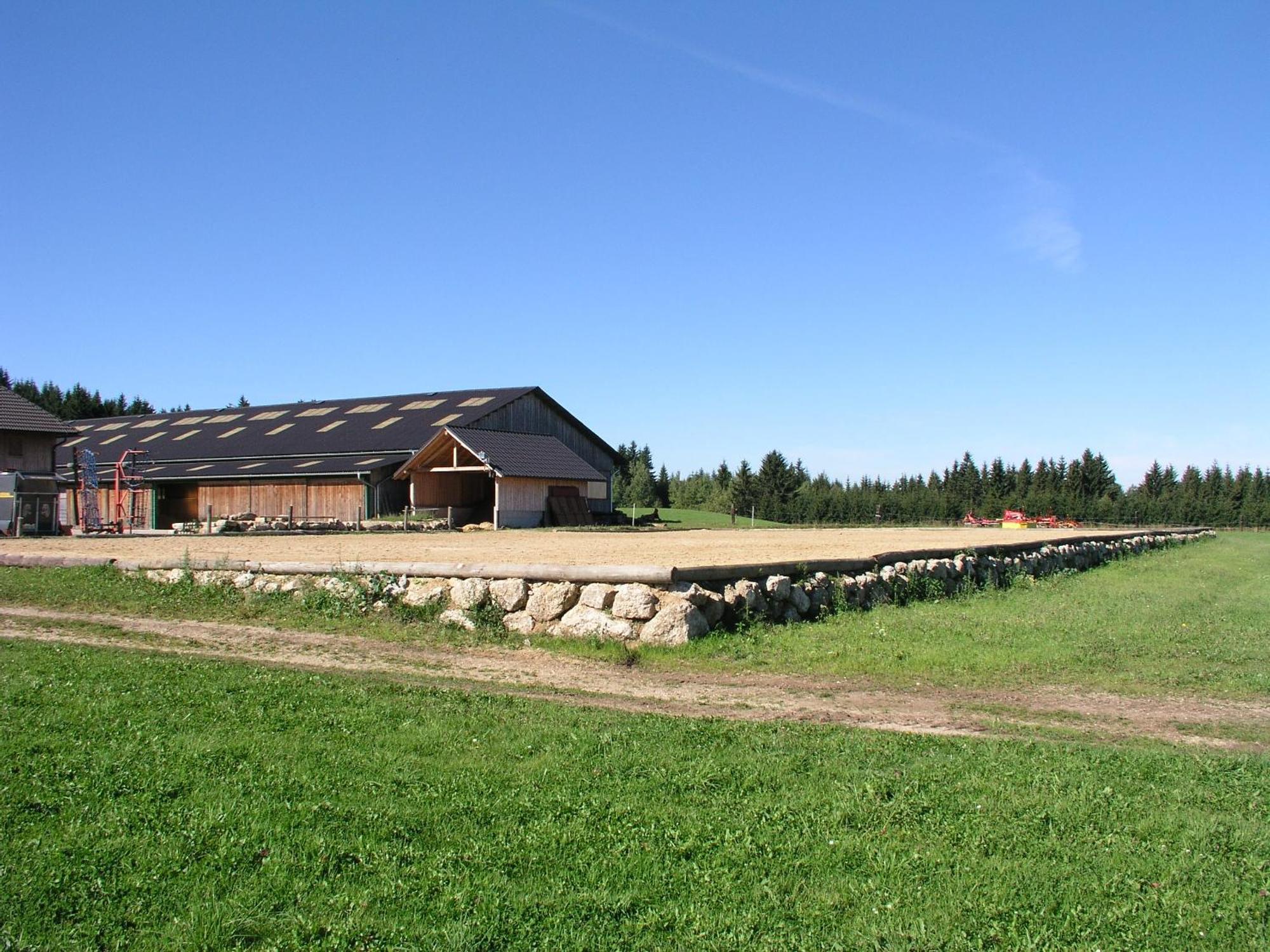 Espi-Stables Ferienhof Esterhammer Liebenau  ภายนอก รูปภาพ