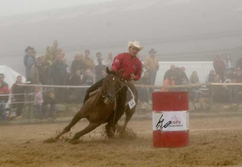 Espi-Stables Ferienhof Esterhammer Liebenau  ภายนอก รูปภาพ