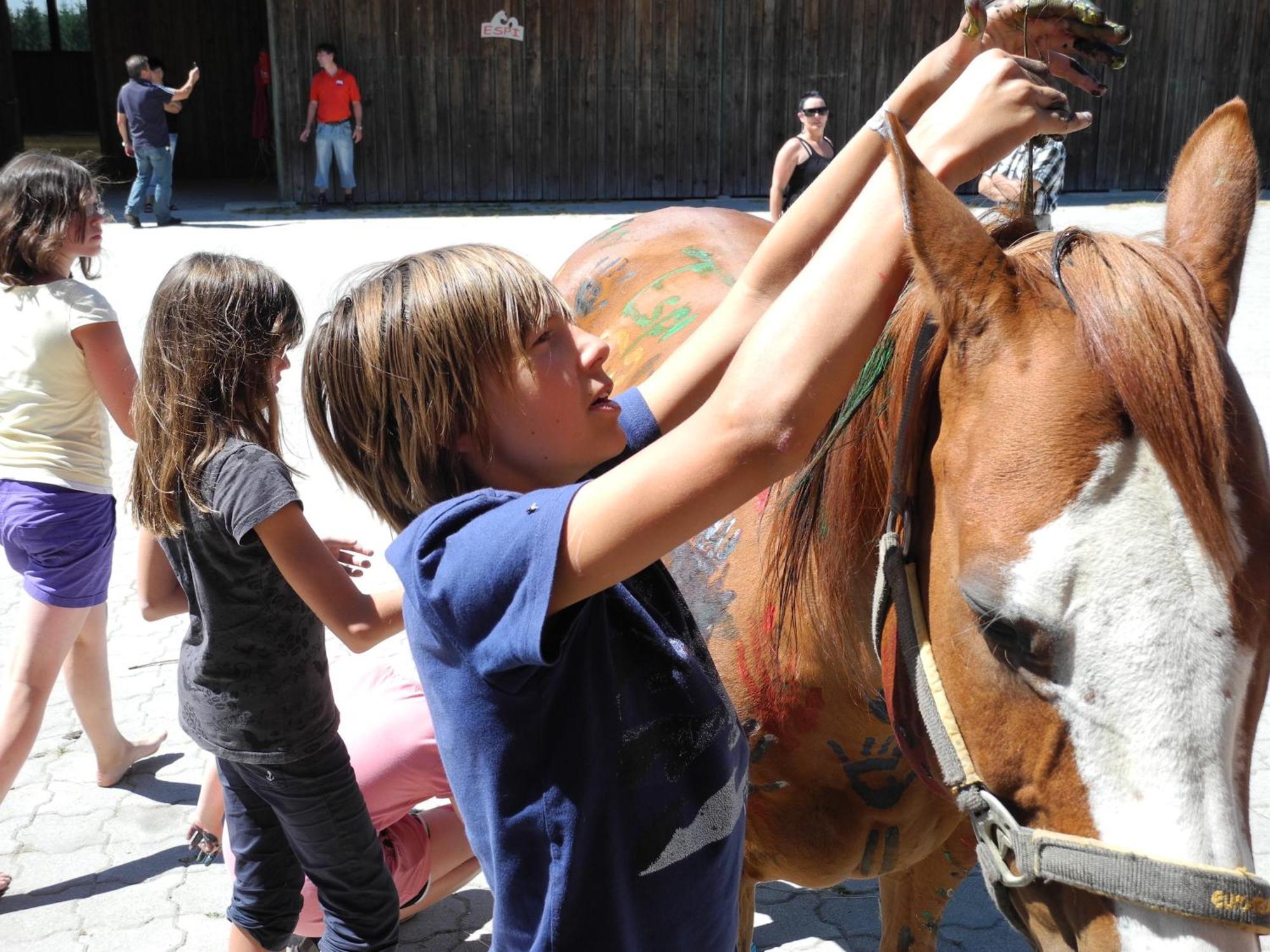 Espi-Stables Ferienhof Esterhammer Liebenau  ภายนอก รูปภาพ