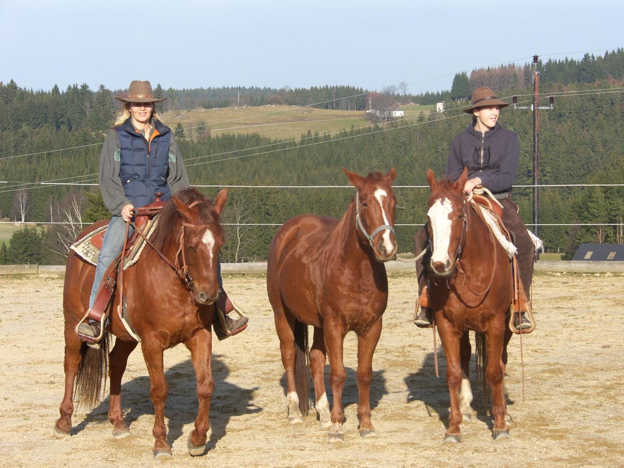 Espi-Stables Ferienhof Esterhammer Liebenau  ภายนอก รูปภาพ