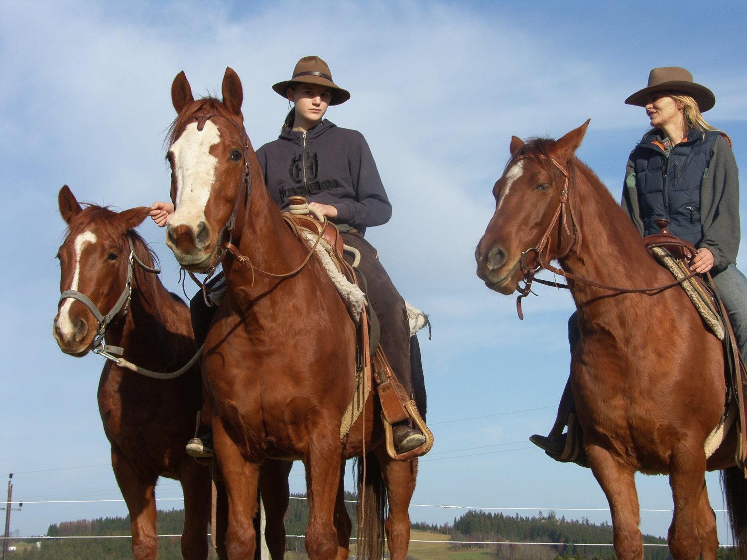 Espi-Stables Ferienhof Esterhammer Liebenau  ภายนอก รูปภาพ