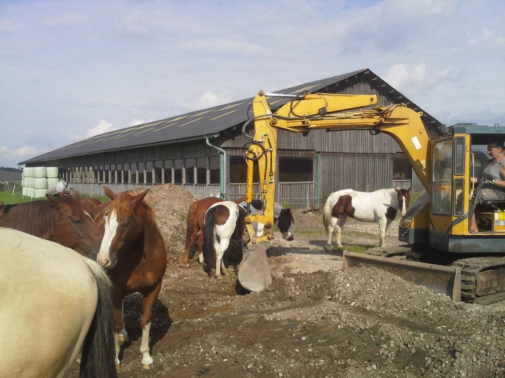 Espi-Stables Ferienhof Esterhammer Liebenau  ภายนอก รูปภาพ