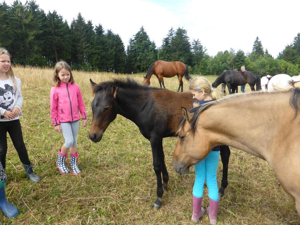 Espi-Stables Ferienhof Esterhammer Liebenau  ห้อง รูปภาพ